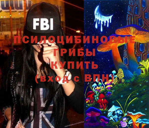 прущие грибы Инта