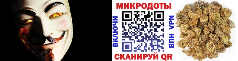 Псилоцибиновые грибы Psilocybe  Купить закладки  Ликино-Дулёво 